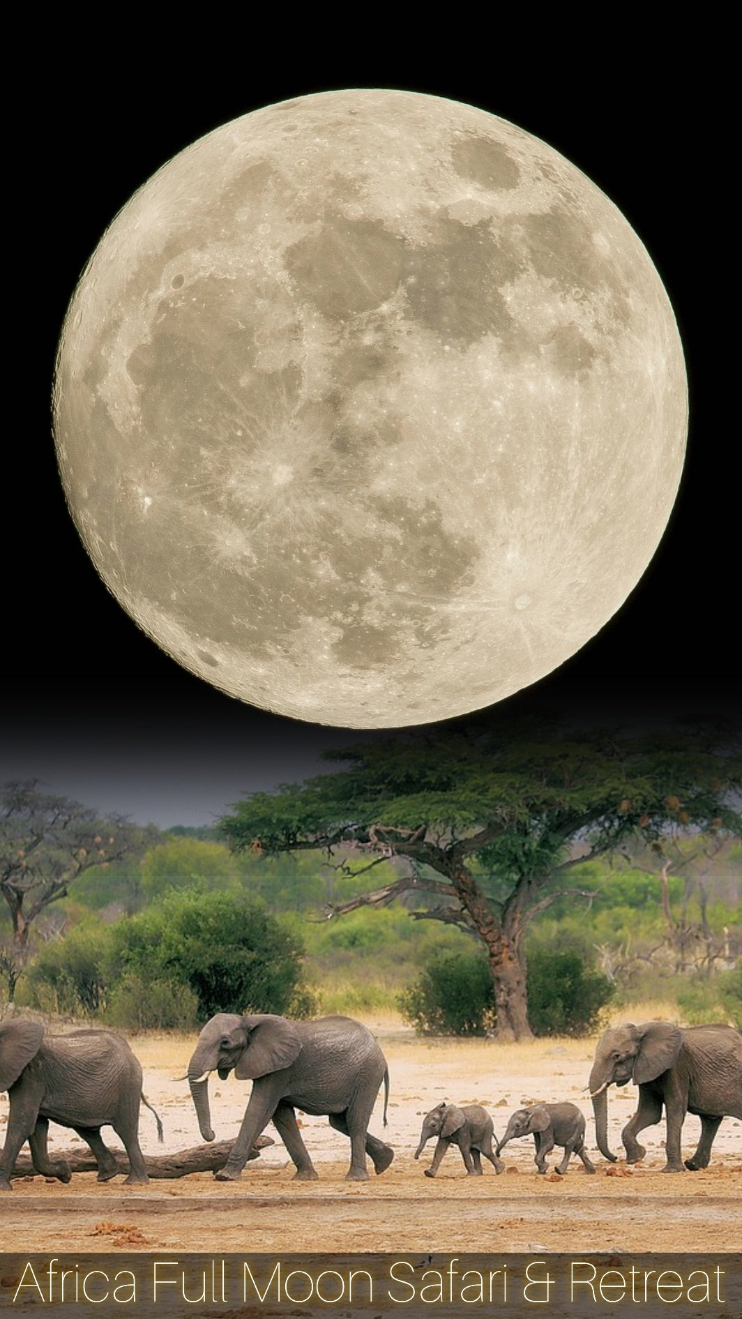 Africa Full Moon Safari and Retreat: Wakambi Experience 