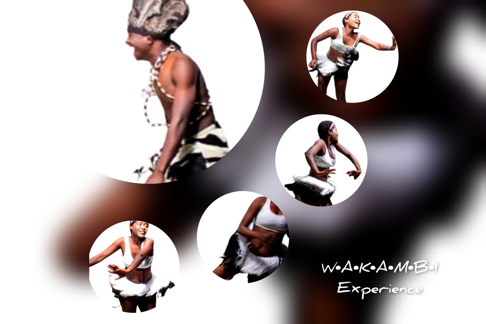 Wakambi Experience, Matabele Traditional Music and Dance